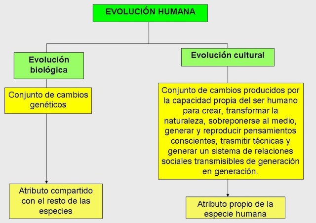 Evolución biólogica y cultural