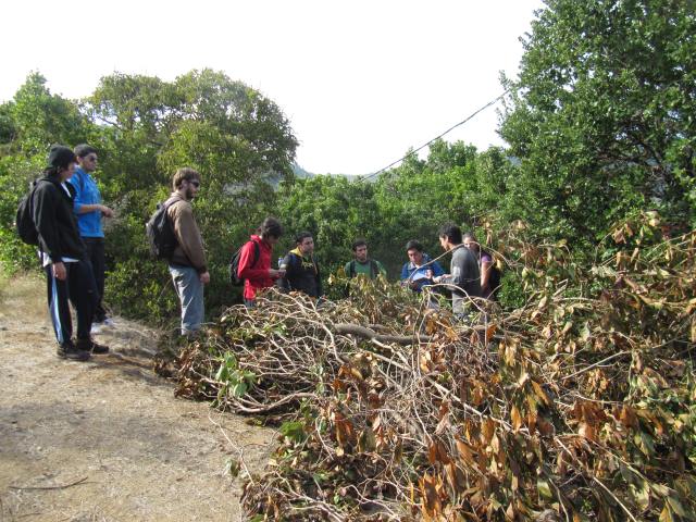 Alumnos observando técnicas de manejo de especies exóticas en Parque El Boldo