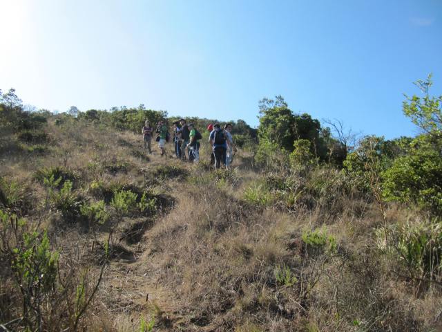Estudiantes ascendiendo Cerro Alto El Boldo, observando vegetación del matorral esclerófilo