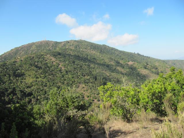 Vista hacia Quebrada Las Piedras en Parque El Boldo